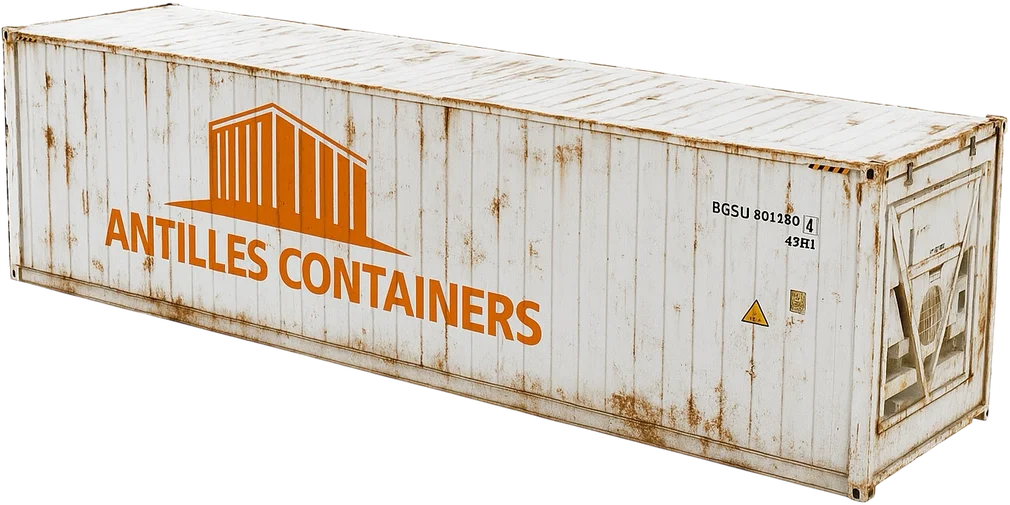 Container Reefer 40 pieds — conteneur maritime disponible aux Antilles